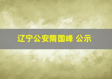 辽宁公安隋国峰 公示